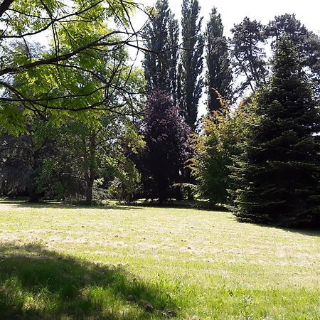 Chateau De Prety - Maison D'Hotes エクステリア 写真