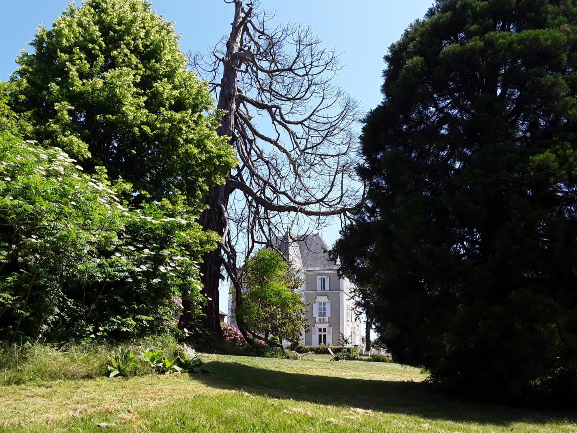 Chateau De Prety - Maison D'Hotes エクステリア 写真